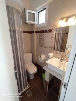 toilet with shower